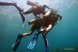 Diving Lessons For Beginners