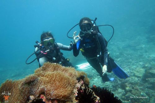 Bali Scuba Diving Packages