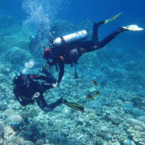 Surprising Fact: Scuba Diving is Actually Good for Disability