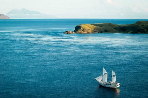 Komodo Cruise Boat Tour, Visiting The Best Snorkeling Spot In The World 