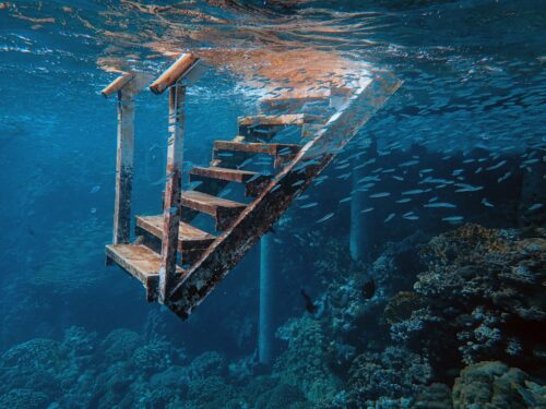 Lembeh diving bucket list