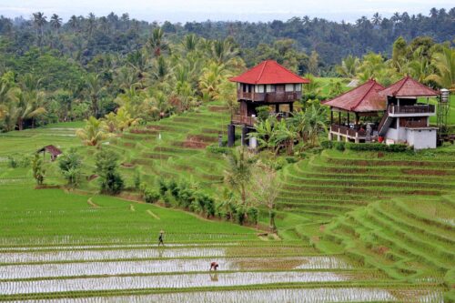 property trends in bali