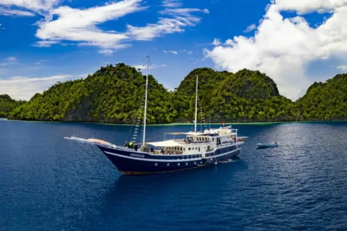 Wallacea Dive Cruises